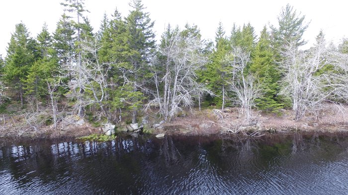 WentworthHalbinsel (74)